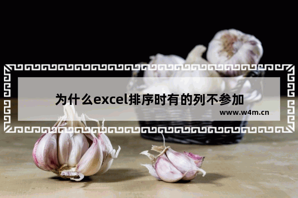 为什么excel排序时有的列不参加