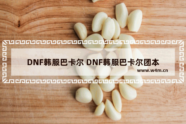 DNF韩服巴卡尔 DNF韩服巴卡尔团本