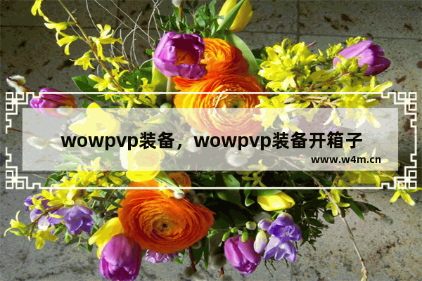 wowpvp装备，wowpvp装备开箱子