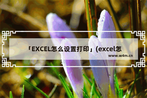 「EXCEL怎么设置打印」(excel怎么设置打印格式横向居中)