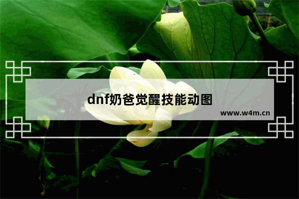 dnf奶爸觉醒技能动图