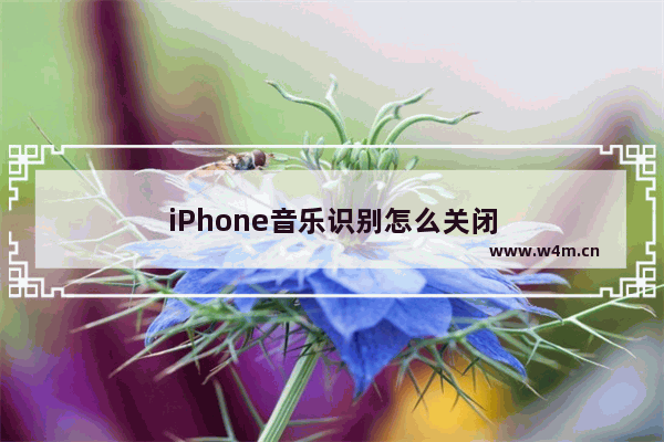 iPhone音乐识别怎么关闭