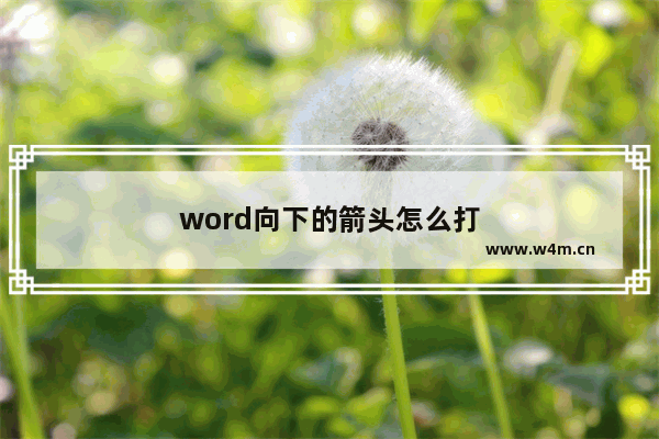 word向下的箭头怎么打