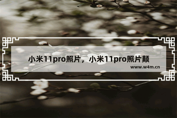 小米11pro照片，小米11pro照片颠倒怎么回事