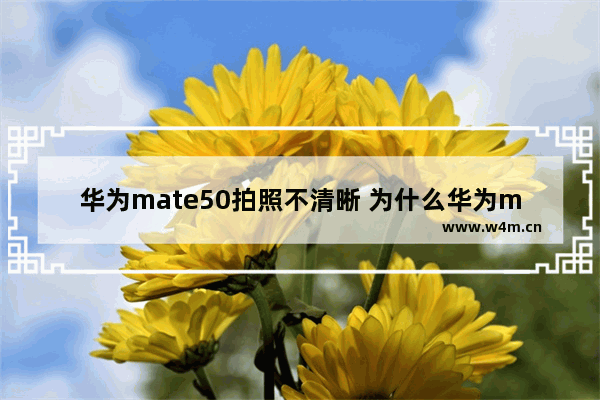 华为mate50拍照不清晰 为什么华为mate50拍照不清晰