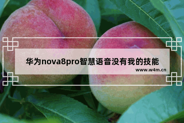 华为nova8pro智慧语音没有我的技能吗