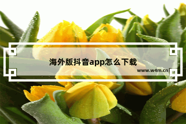 海外版抖音app怎么下载