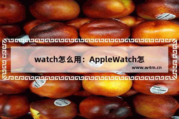 watch怎么用：AppleWatch怎么用网易云