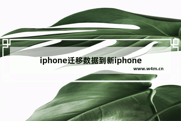 iphone迁移数据到新iphone