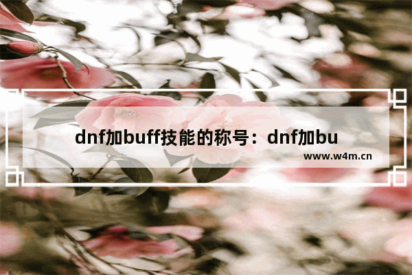 dnf加buff技能的称号：dnf加buff技能的称号宝珠