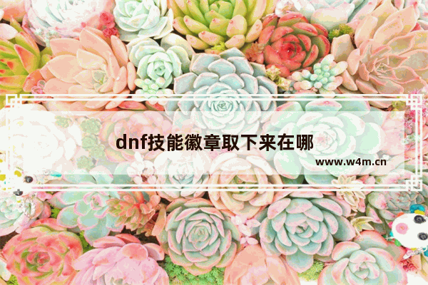 dnf技能徽章取下来在哪