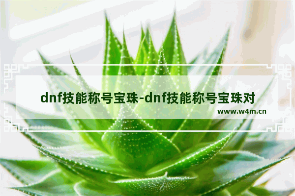 dnf技能称号宝珠-dnf技能称号宝珠对奶妈