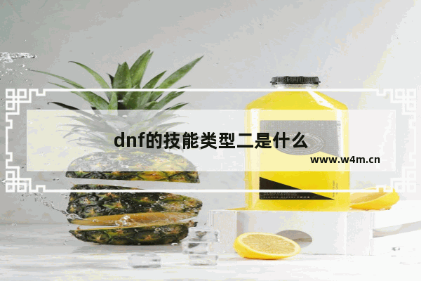 dnf的技能类型二是什么