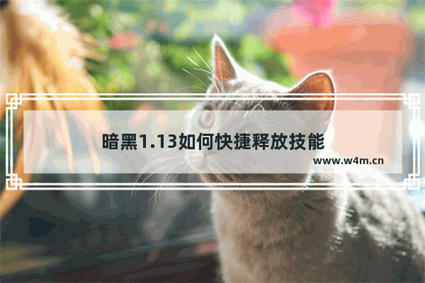 暗黑1.13如何快捷释放技能