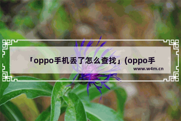 「oppo手机丢了怎么查找」(oppo手机丢了怎么查找手机位置)