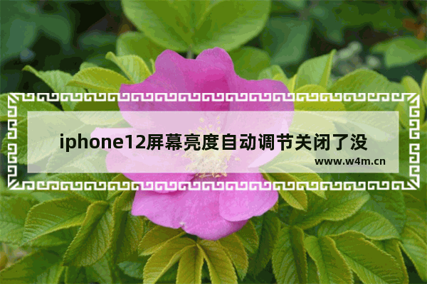 iphone12屏幕亮度自动调节关闭了没用