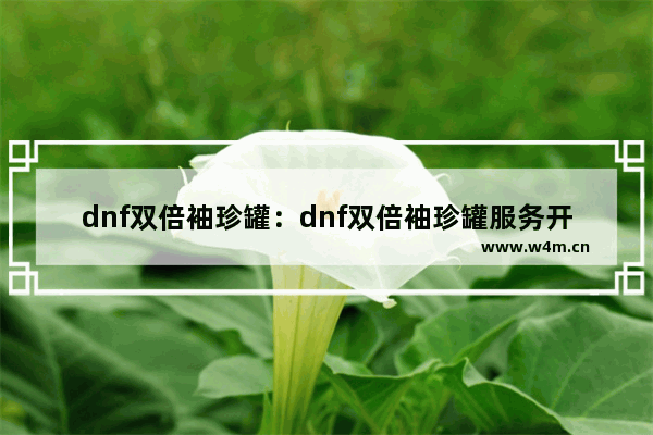 dnf双倍袖珍罐：dnf双倍袖珍罐服务开罐子有限制吗