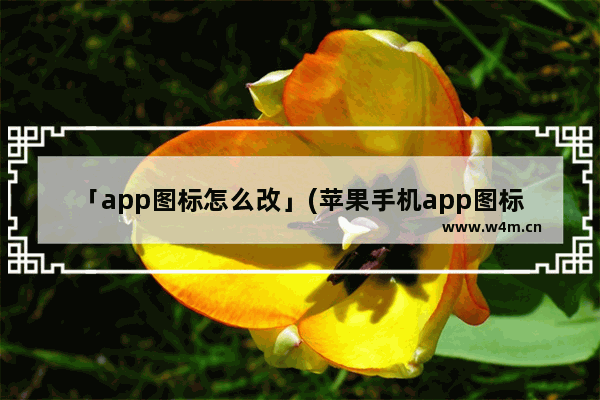 「app图标怎么改」(苹果手机app图标怎么改回原来的样子)