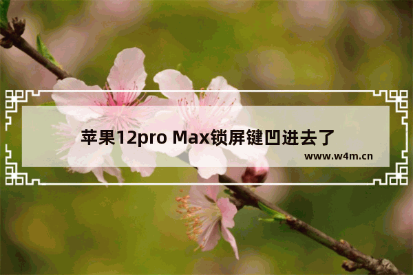 苹果12pro Max锁屏键凹进去了