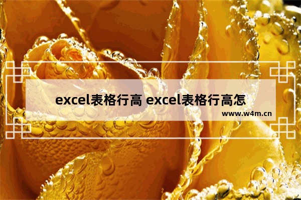 excel表格行高 excel表格行高怎么设置限制高度