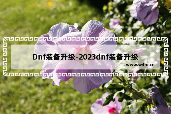 Dnf装备升级-2023dnf装备升级