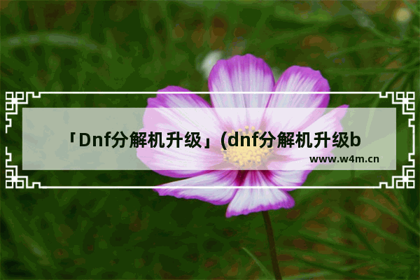 「Dnf分解机升级」(dnf分解机升级bug)