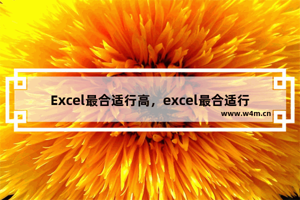 Excel最合适行高，excel最合适行高在哪