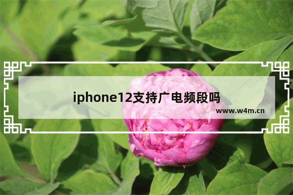 iphone12支持广电频段吗