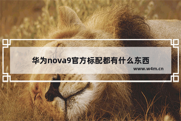 华为nova9官方标配都有什么东西