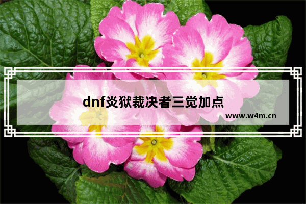 dnf炎狱裁决者三觉加点