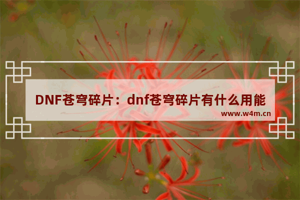 DNF苍穹碎片：dnf苍穹碎片有什么用能换金币吗