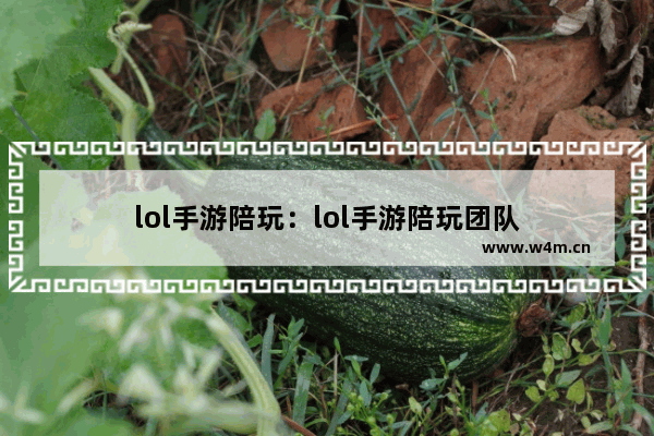 lol手游陪玩：lol手游陪玩团队