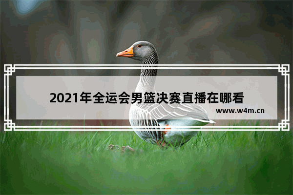 2021年全运会男篮决赛直播在哪看