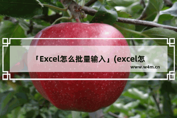 「Excel怎么批量输入」(excel怎么批量输入相同内容)