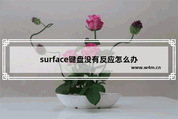 surface键盘没有反应怎么办