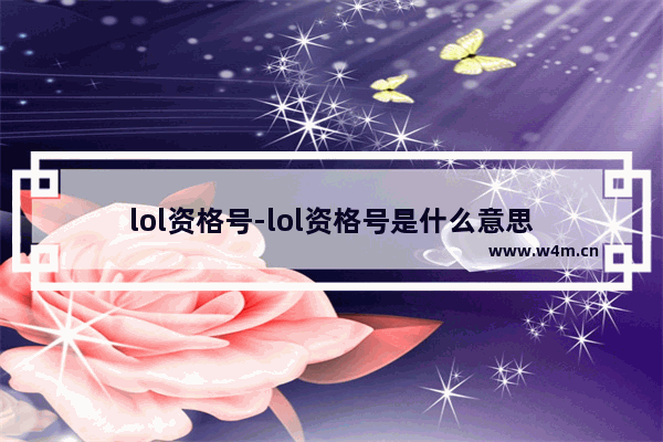 lol资格号-lol资格号是什么意思