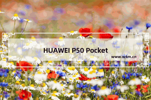 HUAWEI P50 Pocket