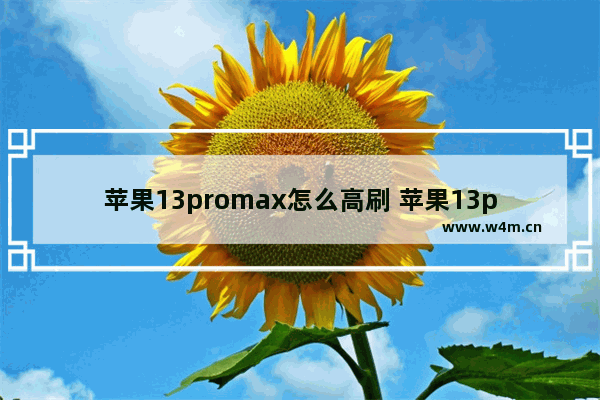 苹果13promax怎么高刷 苹果13promax怎么高刷120