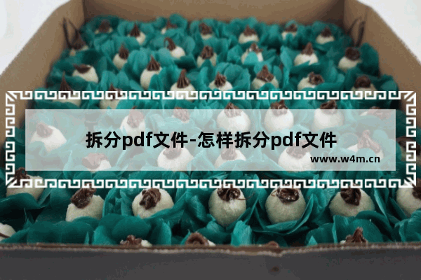 拆分pdf文件-怎样拆分pdf文件