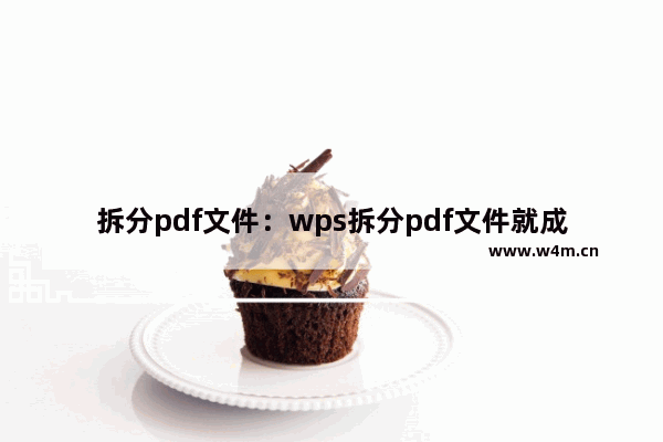 拆分pdf文件：wps拆分pdf文件就成一条亮线