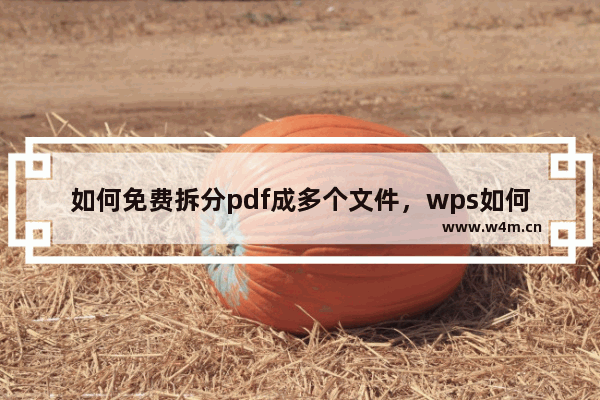 如何免费拆分pdf成多个文件，wps如何免费拆分pdf成多个文件