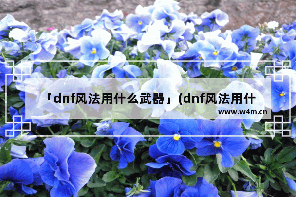 「dnf风法用什么武器」(dnf风法用什么武器100)