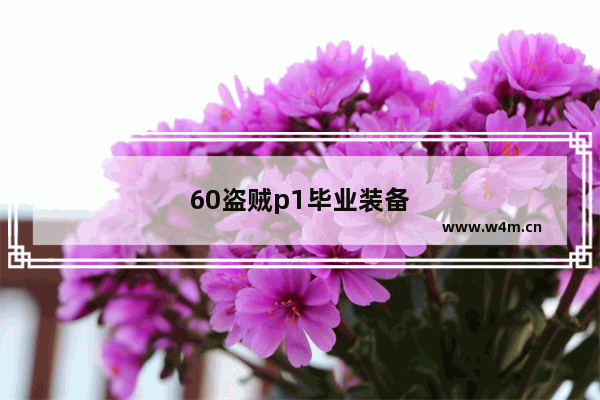 60盗贼p1毕业装备