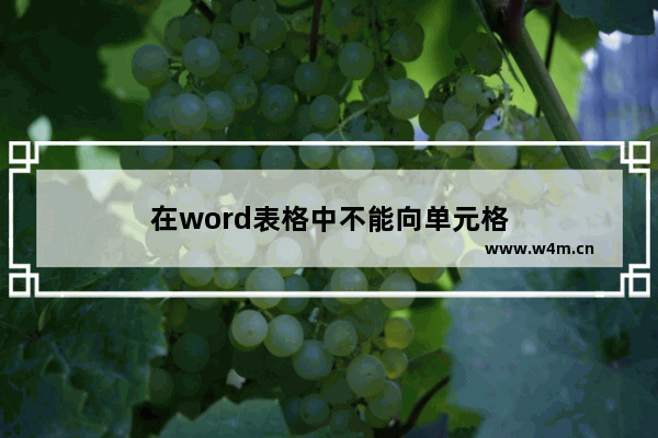 在word表格中不能向单元格