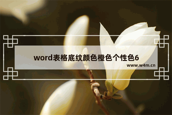 word表格底纹颜色橙色个性色6