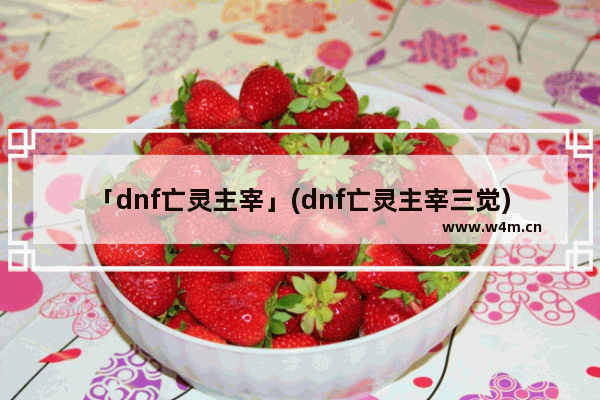 「dnf亡灵主宰」(dnf亡灵主宰三觉)