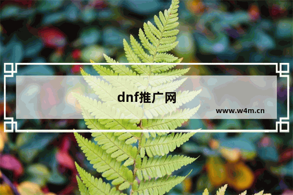 dnf推广网