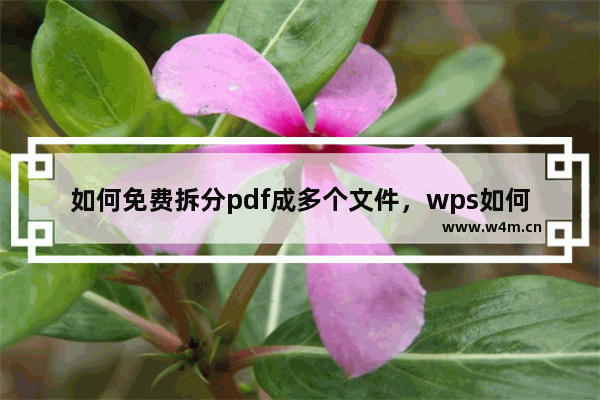 如何免费拆分pdf成多个文件，wps如何免费拆分pdf成多个文件