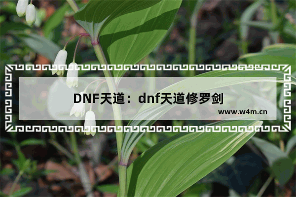 DNF天道：dnf天道修罗剑