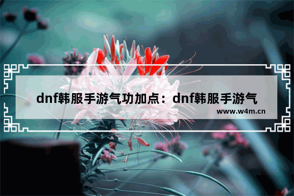 dnf韩服手游气功加点：dnf韩服手游气功加点刷图